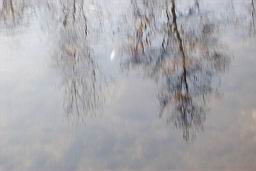 inquinamento 27-02-2005 004.jpg